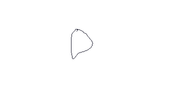 2582.gif
