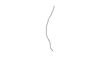 2647.gif