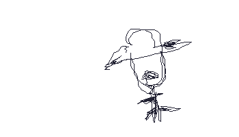 2655.gif