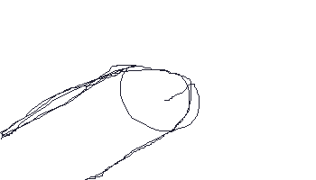 343.gif