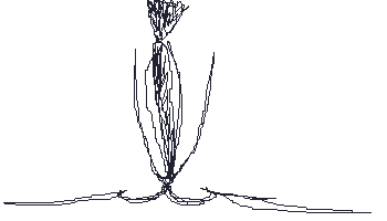 363.gif