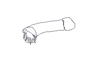 456.gif