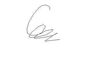 5.gif
