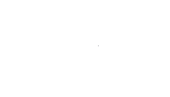 567.gif