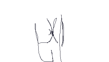 718.gif